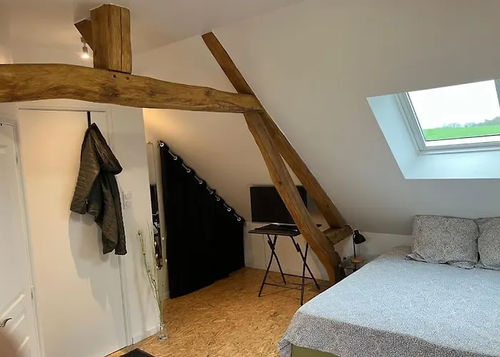 Studio Belle Perche Dans La Nature